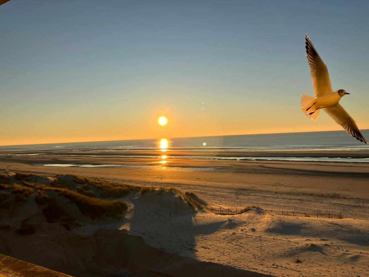 Baie De Somme Villa Gros Becs Dominois Dış mekan fotoğraf